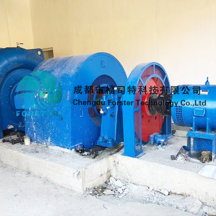 China Suppliers Supplying Cheap Micro Hydroelectric Fancics Turbine Generator For Hpp