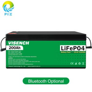 Visench Direct factory Lithium battery lithium 48v Deep 6000 Cycles with BMS for
