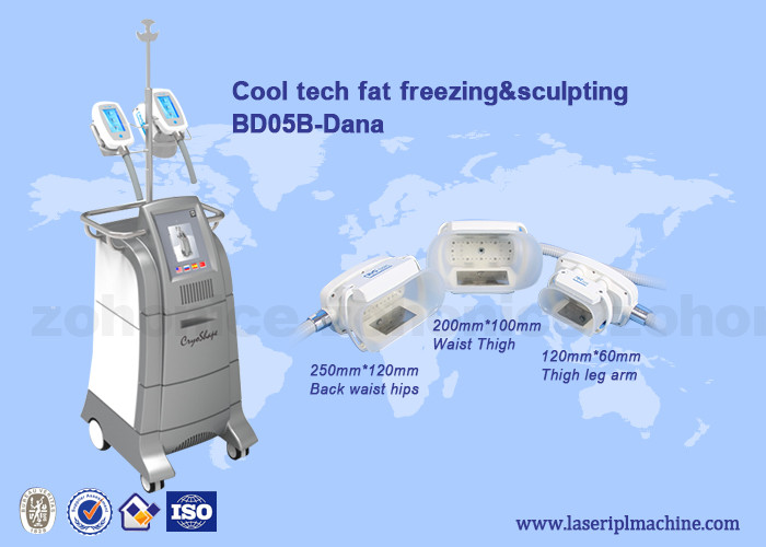 360 Cryo 40K Cavitation Body Sculpting With Double Chin Handle For Cellulite Removal