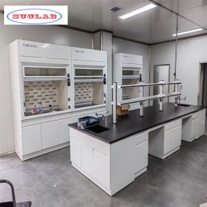 Robust Lab Workbenches with As Drawing Number of Hooks for Laboratories