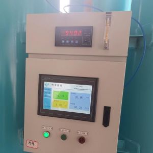 20ft Container 1KW Pressure Swing Adsorption Oxygen Generator Machine