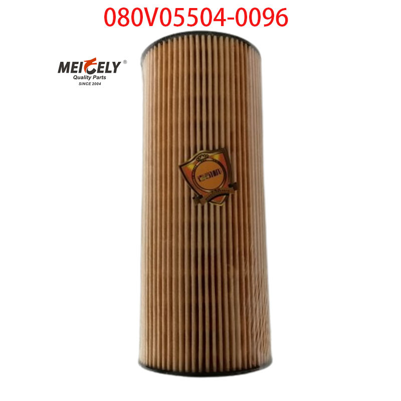 Stock OEM 080V05504-0096 For SINOTRUK Howo T5G Truck Oil Filter