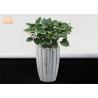 Buy cheap Marbling Clay Flower Pots Fiberclay Plant Pots Large Pot Planters Clay Floor from wholesalers