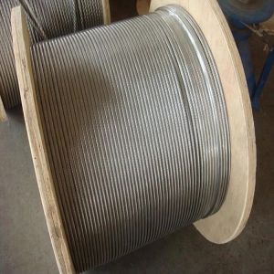 Galvanized High Tensile Steel Wire Rope with 7x19 Construction and 1570MPA