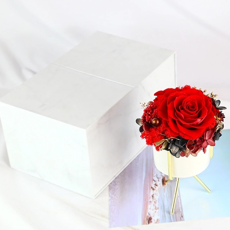 New Arrival preserved flowers ornament luxury immortal rose gift for teacher/friend