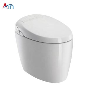 Automatic Operation One Piece Dual Flush Toilet Automatic Heating
