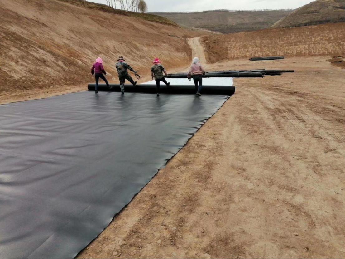 Length Client's Requirement HDPE Geomembrane Waterproof for Fish Farm Pond Liner Sheet
