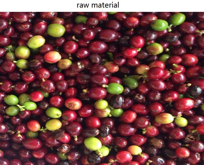 5400 Pixel CCD Image Coffee Color Sorter