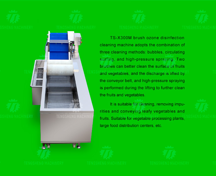 250KG The manufacturer provides a reversible air dryer for fruit ozone disinfection and fruit washing machine