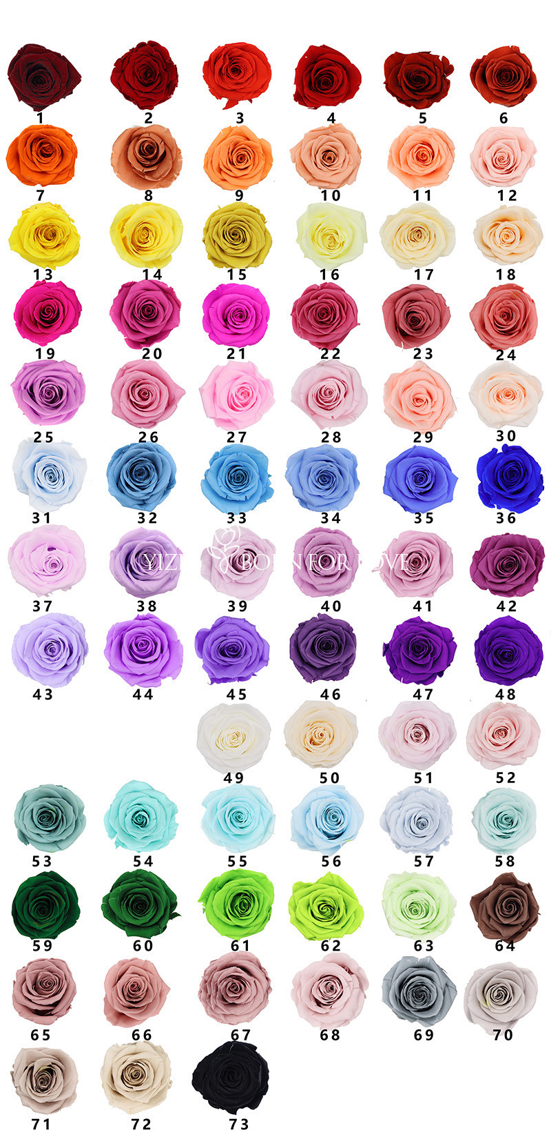 Long Stem Infinity Dried Long Lasting Roses In Box For DIY Projects