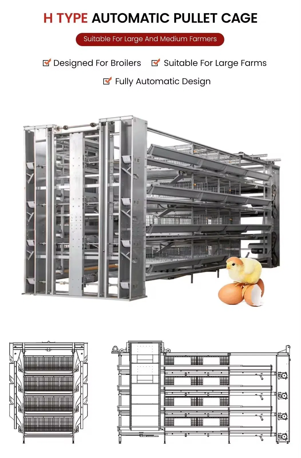 H Type Poultry Chicken Layer Cage overview