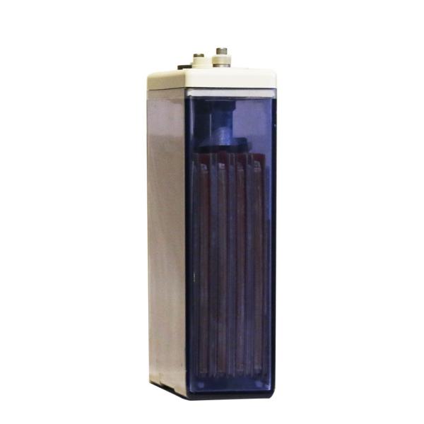 50Hz Ups Uninterruptible Power Supplies 220V Short Circuit Protection OPzS