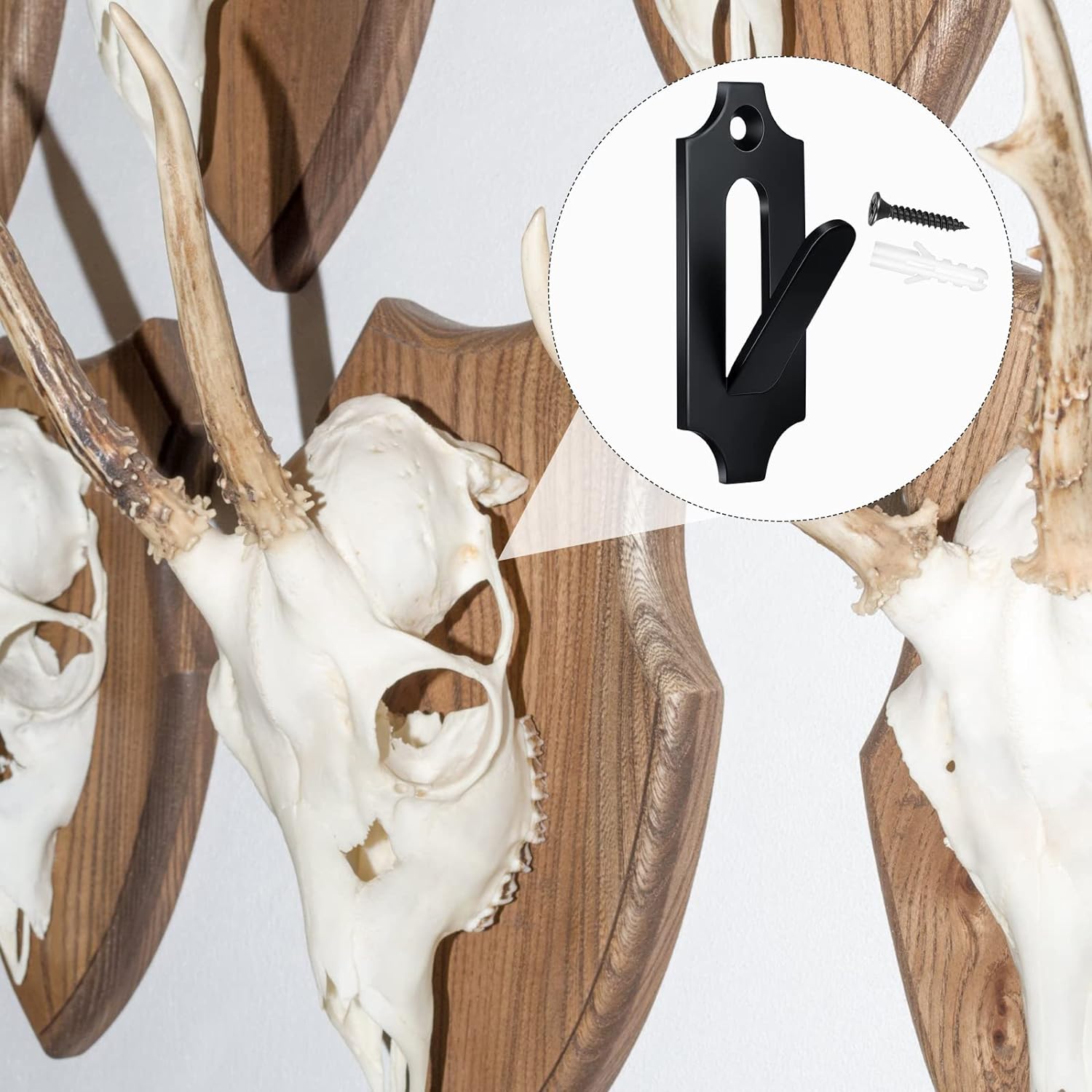 European Mount Skull Hanger Multifunctional Display Stand for Deer Mountain Skeleton