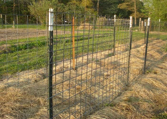 American Farm 6 Ft Studded Fence Post 0.83lb Per Foot