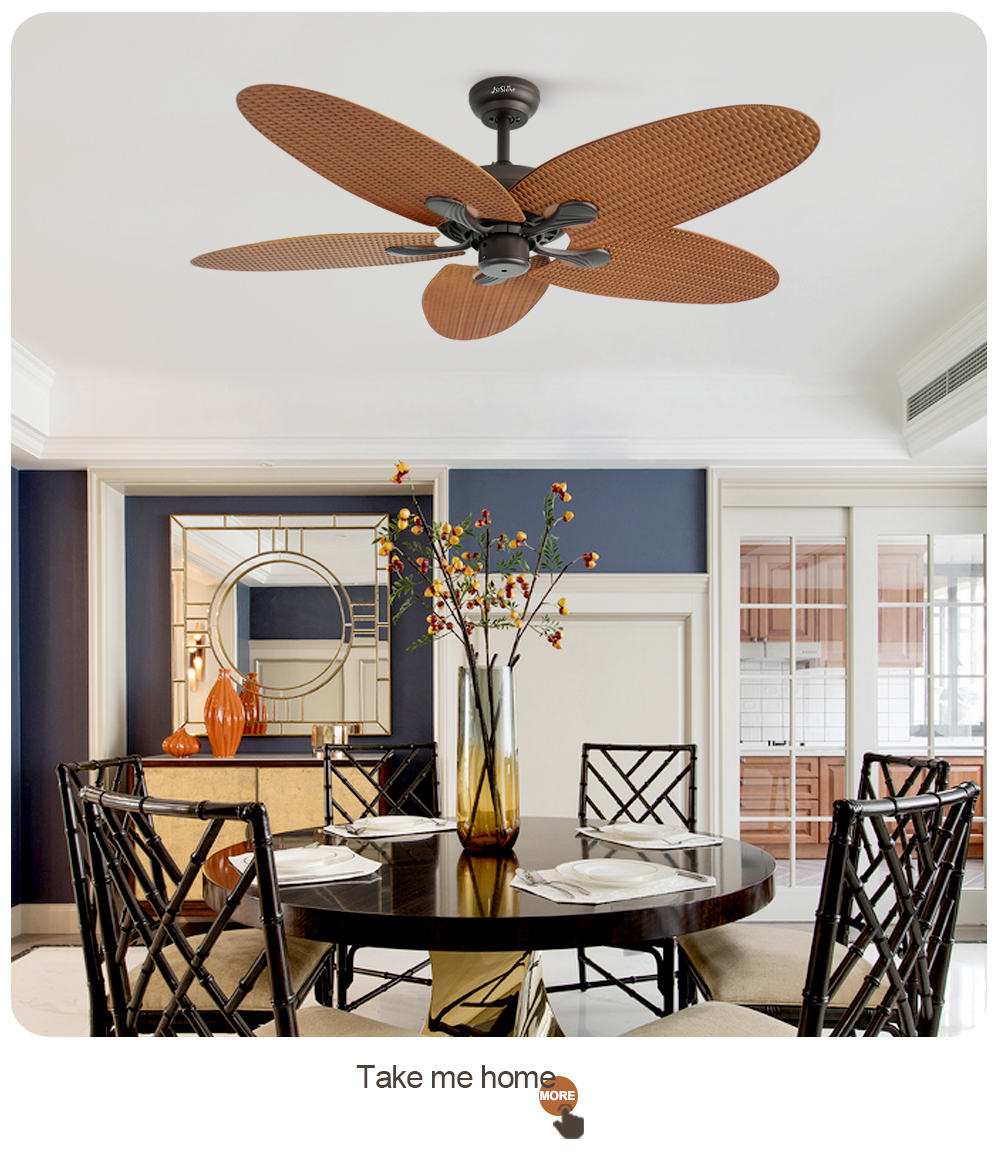 ceiling fan