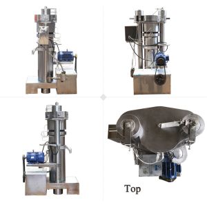 Cold Press Machine Automatic Palm Oil Processing Machine Extraction Machine For