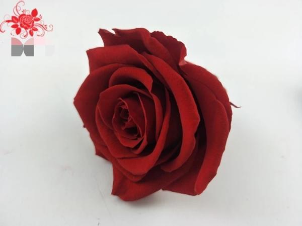 Japanese preserved red rose flowers for wedding flower stands Natural Fresh