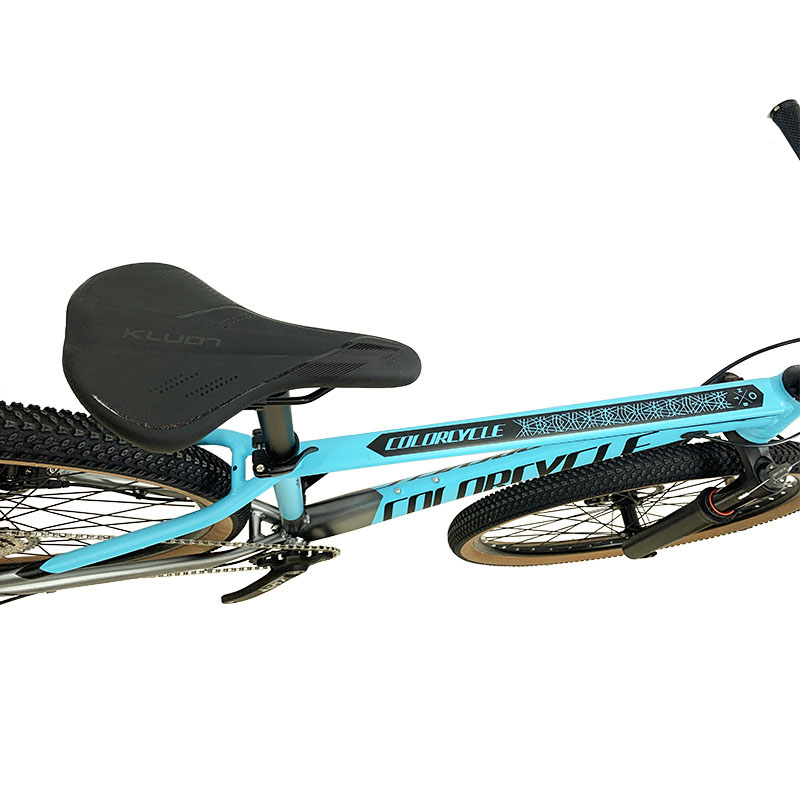 Alloy Cassette 29 Inch Mountain Bike with Hydraulic Disc Brake and Aluminum Alloy Frame