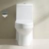 Buy cheap White Bathrooms Toilets Single Flush Elongated Skirted One Piece Toilet Bowl from wholesalers
