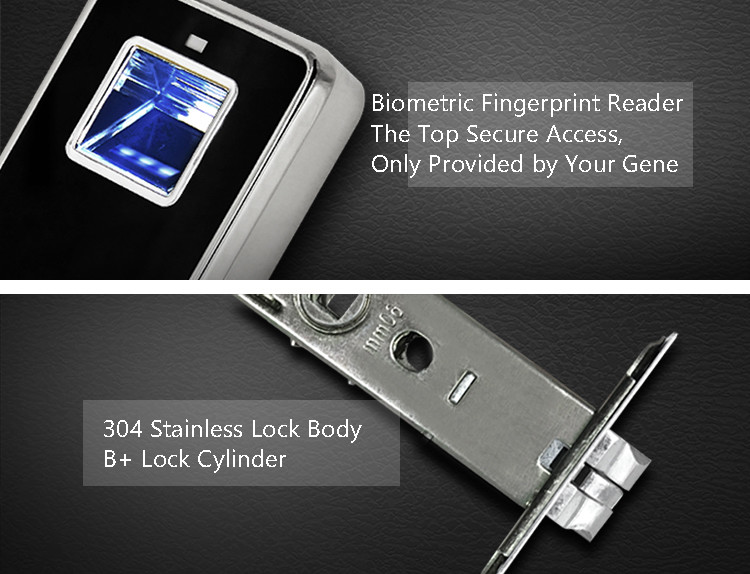 Multi Color Keyless Biometric Fingerprint Door Lock Quick Recognition