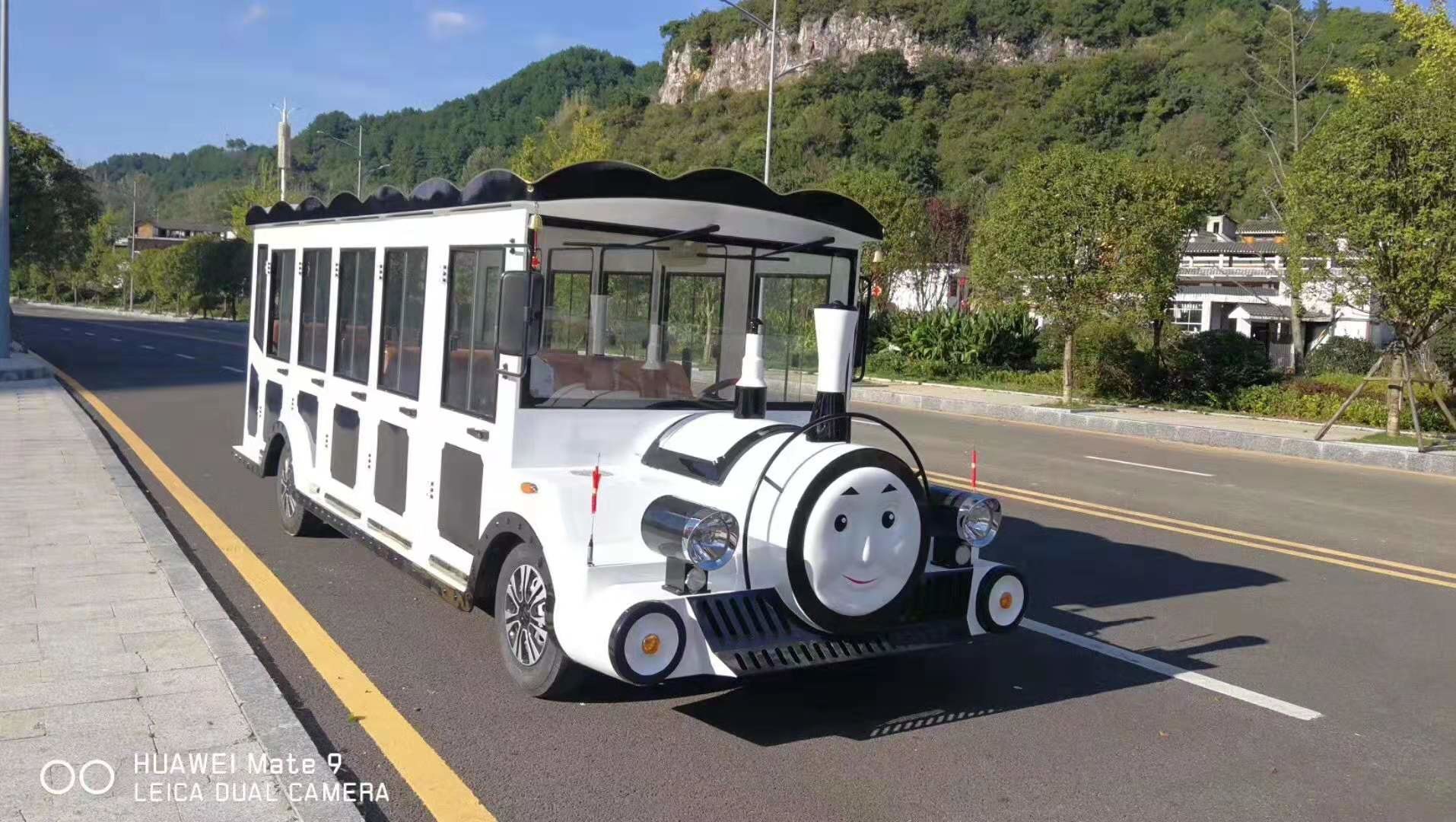 Thomas Train Head Cartoon Electric Sightseeing Car Size 5430*1600*2050mm 14 seats
