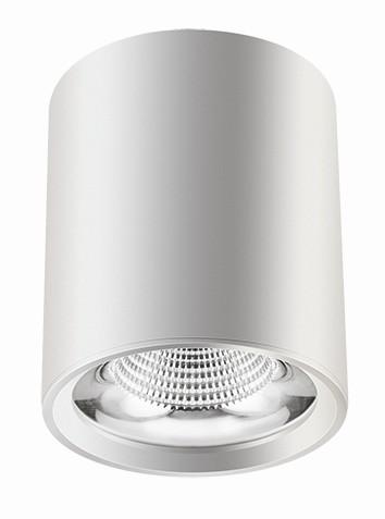 Dia-cast aluminium LED surface mounted downlight 30W hotel shopping mall COB
