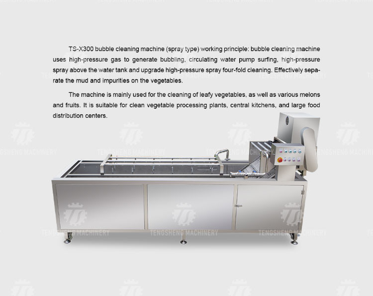 240KG SUS 304 Vegetable And Fruit Washing Machine Orange Cleaning Machine