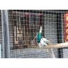 Buy cheap Vinstar 1.5mm-3.0mm 4x4 Galvanised Welded Steel Wire Mesh In Rolls from wholesalers