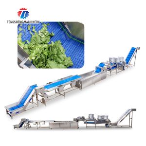 vegetable drying equipment Fruit and vegetable selection washing and drying