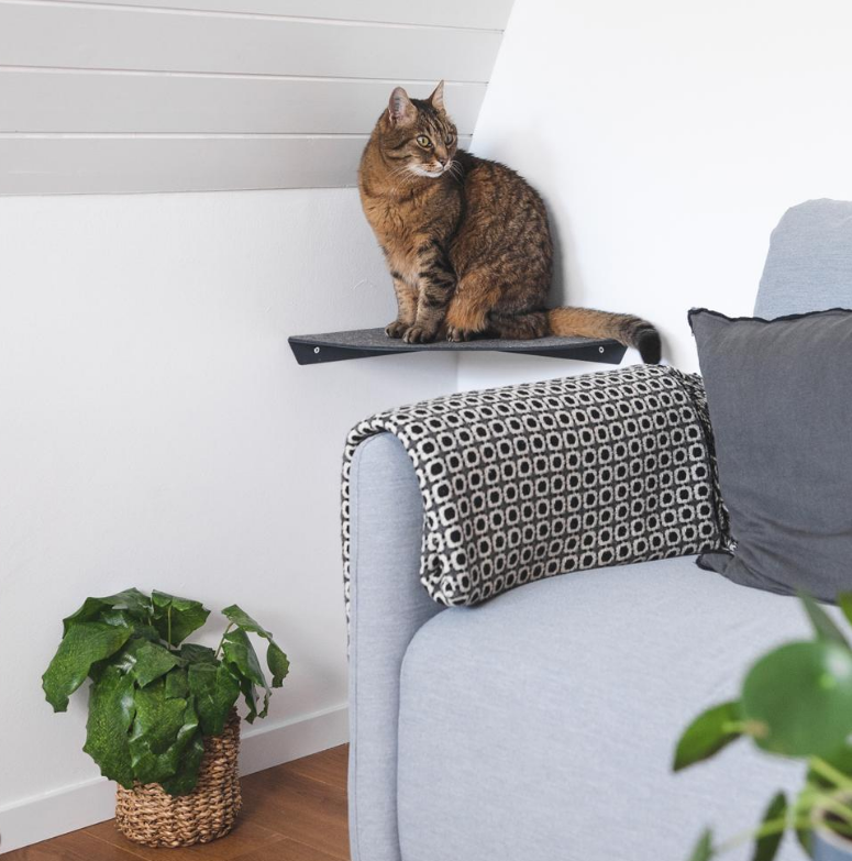 Versatile Steel Cat Wall Shelf Wall Furniture Perch Cat Hammock Bed Metal Cat Climber