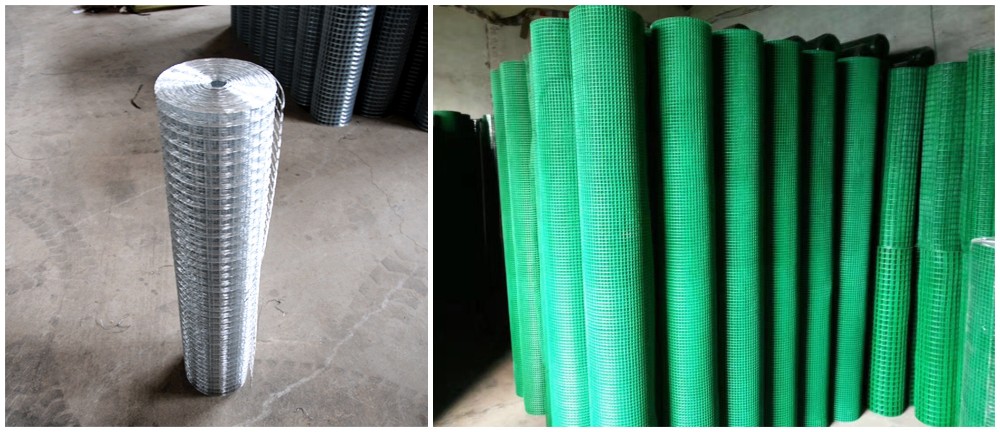bird cage welded wire mesh roll