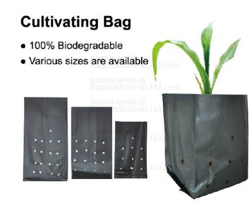PE CLIPS, CULTIVATING BAG, 100% BIODEGRADABLE VARIOUS SIZE ARE AVAILABLE,GREEN