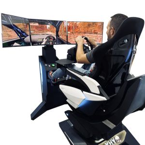  9D VR Arcade Game Car Virtual Reality Machine Cockpit Simulation Racing Manufactures