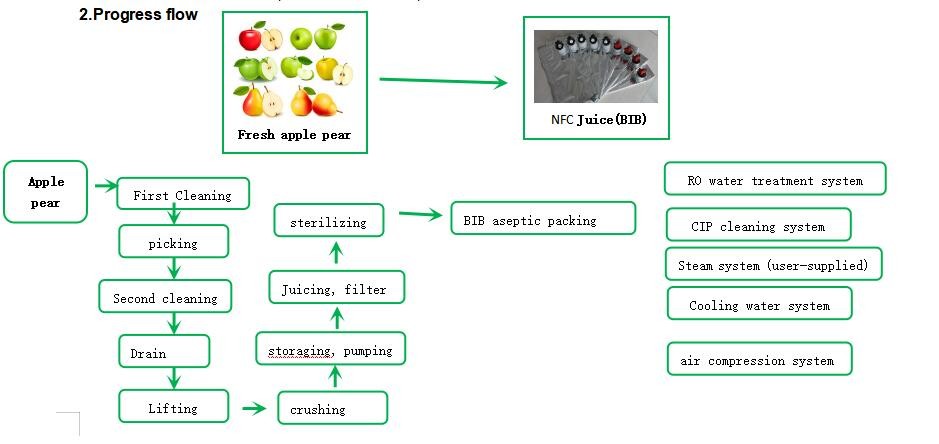 Automatic Fruit Production Line 500 - 1000L/H 80000 KG Easy Operate
