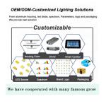 Vertical Horticultural 1000W LED Grow Lights 3.1μmol/J Lm301b Lm301h