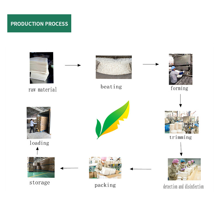 Supermarket Bagasse Food Tray Disposable Food Grade Various Sizes Available