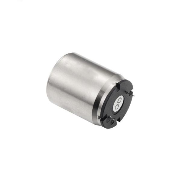 Faradyi Factory Direct Coreless Motor Dc High Rpm 24v 1620R Dc Brush Motor For