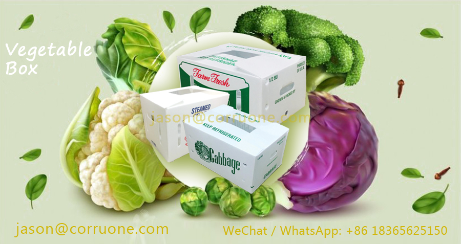 Embossing PP Vegetable Corrugated Boxes Rice Meat Corflute Box