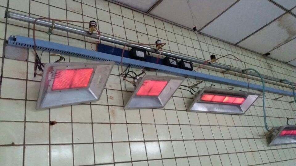 THD Farming LPG Natural Gas Heater Brooder Equipment Chicks Infrared For Chicken