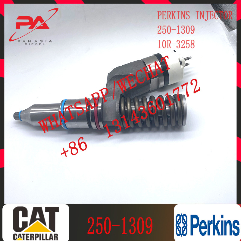 Common Rail C11/C13 Diesel Engine Fuel Injector 249-0713 250-1309 253-0608 10R-3262