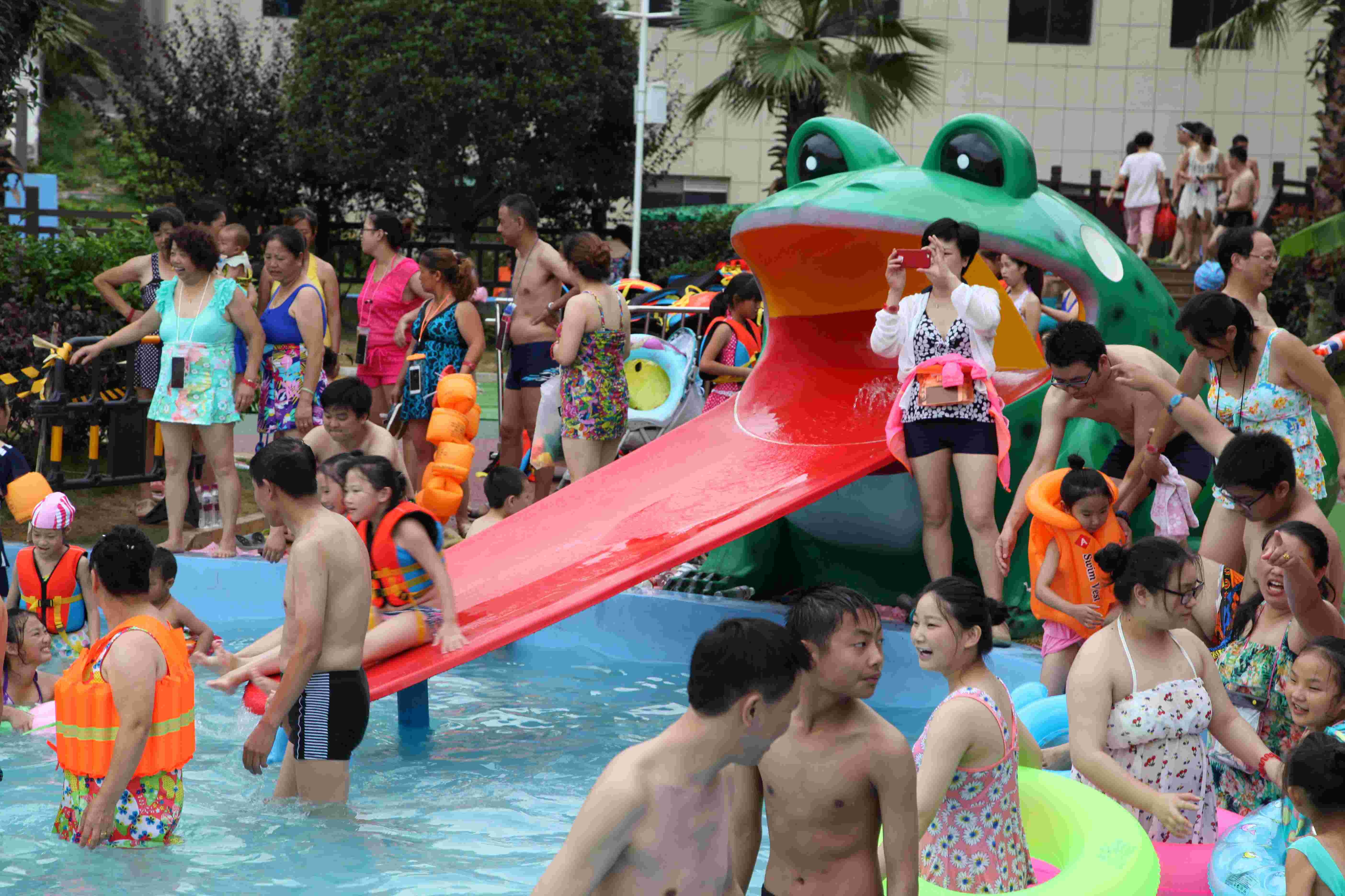 Frog Shaped Water Pool Slides , Aqua Park Fiberglass Slide Water Play Games for Water park