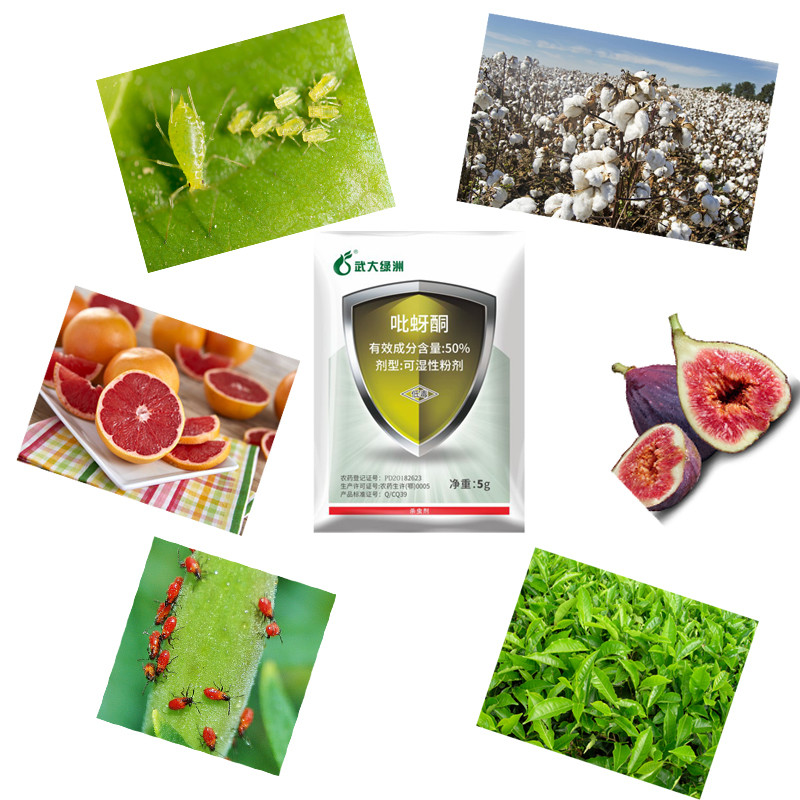 Green Tea Tree Insecticide Pymetrozine 50 Wg WP Leafhopper Killer