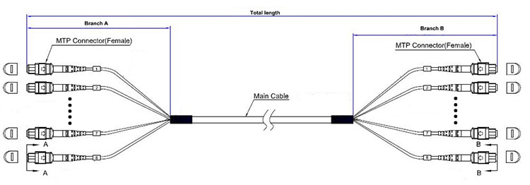 Elite Loss 96F MPO MTP Cable OM4 Female To Female USCONEC Connector
