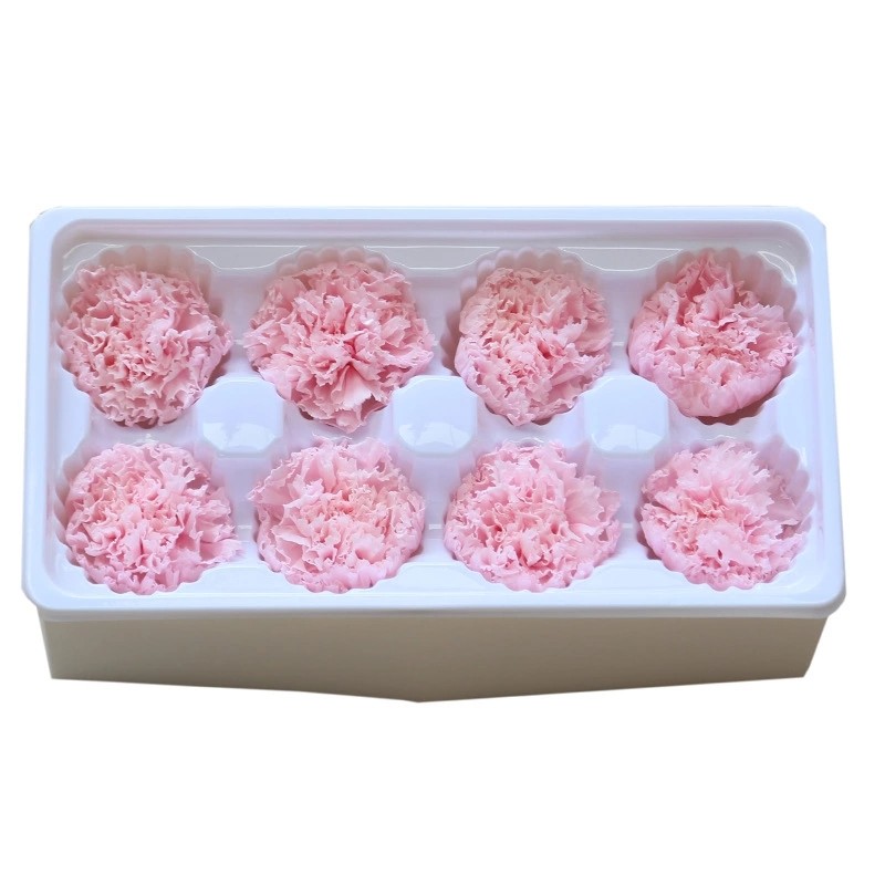 Factory Price Preserved Flowers Real Preserved Carnation For Mother