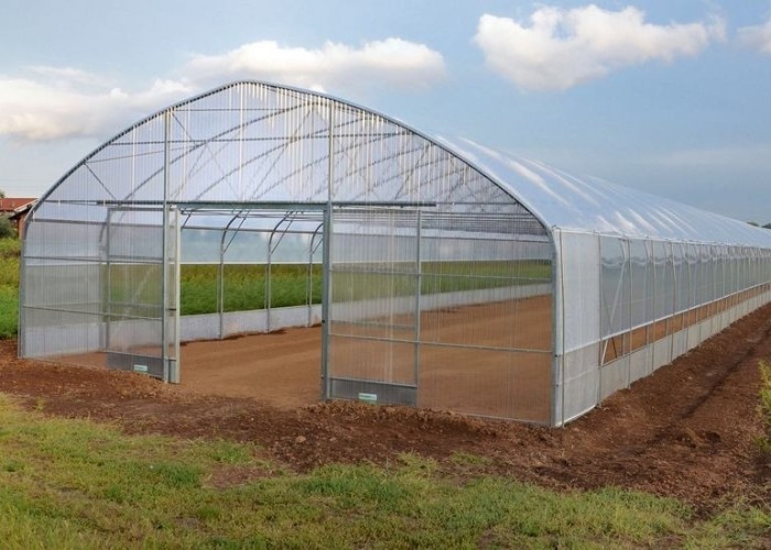 500m2 Garden Gothic Greenhouse Poly Film Stong Wind Resistance For Tomatoes Cucumber Growing