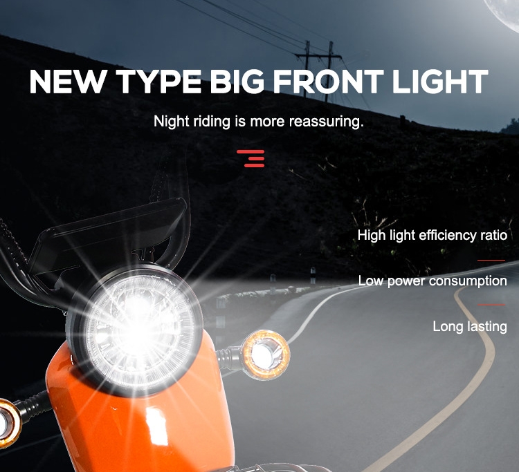 Unisex Electric City Bike 350W Electric Scooter 48V 12ah Full Suspension Fat Ebike
