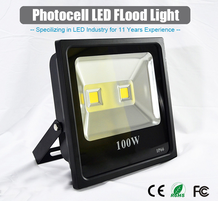 Outdoor COB IP66 Led Flood Lights Sports Field 50W 100W 150W 200W