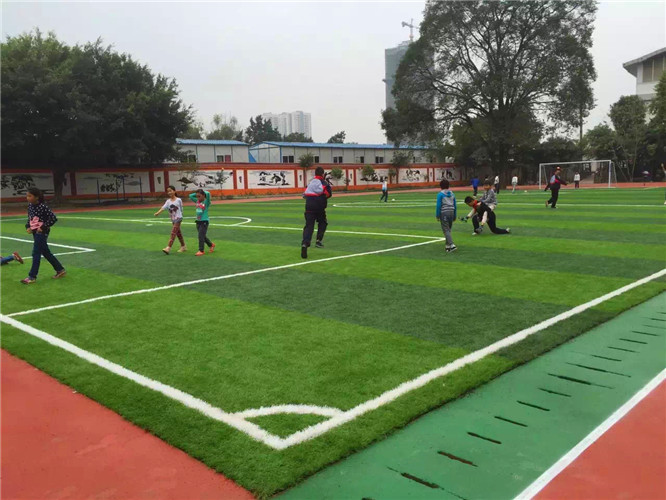  Durable False Turf Playground Soccer Synthetic Grass Environment Friendly Manufactures