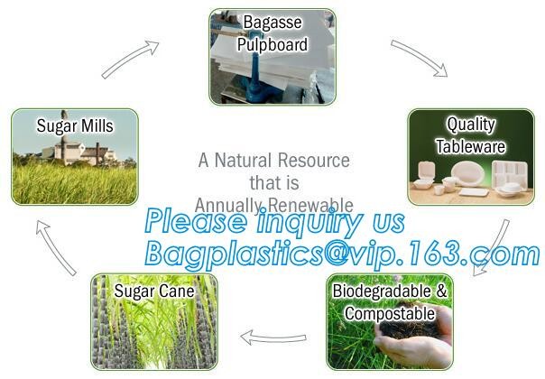 Meal Prep Containers Free Sample Bento Lunch Box Biodegradable Food Container Plastic Wheat Straw Lunch Box bagplastics