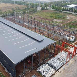Industrial Steel Structure Building with Hot-Dip Galvanized Frame